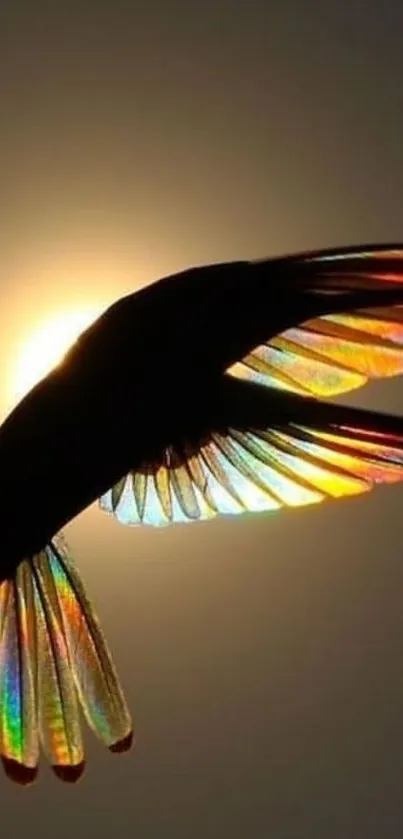 Bird with colorful wings silhouetted against sun.