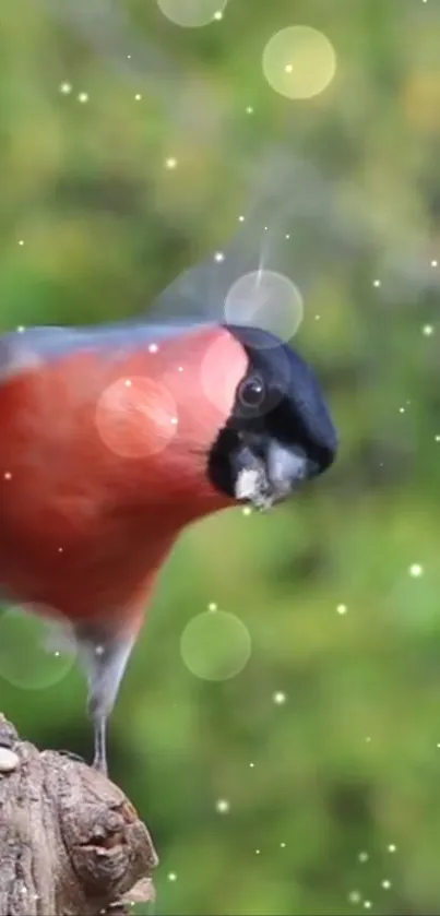 Vibrant bird perched with bokeh background.