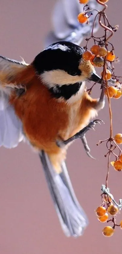 Vibrant bird perched with berries on a branch.