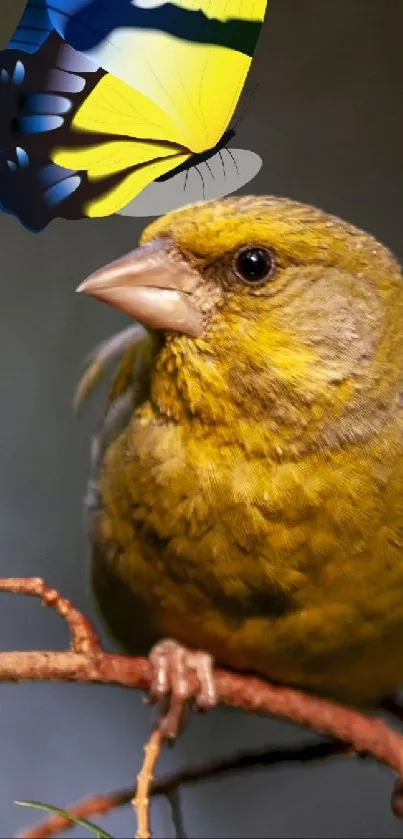 A yellow bird and a blue butterfly on a branch.