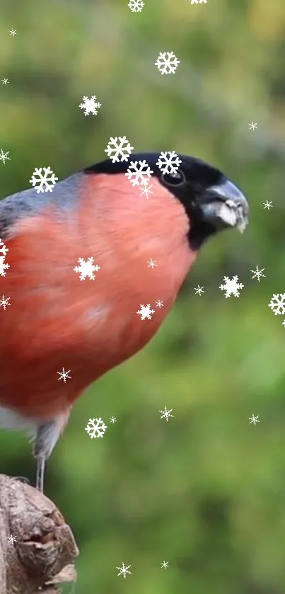 Bird sitting on branch with falling snowflakes.