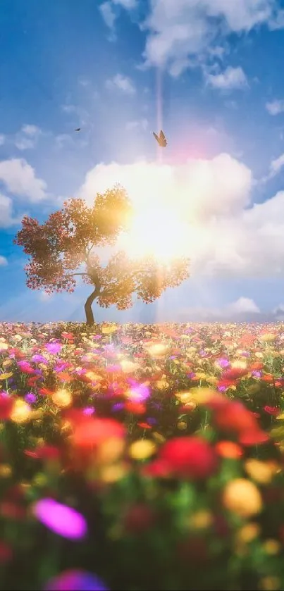 Colorful field of flowers under a sunny blue sky.