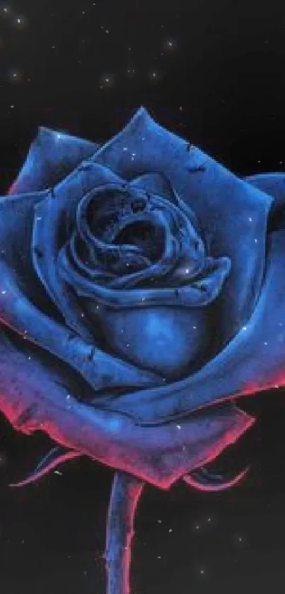 Vibrantly colored blue rose on a black background.