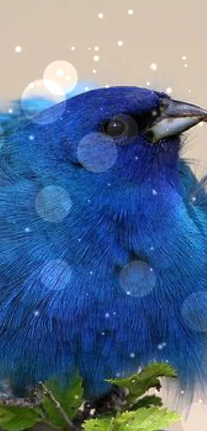 Vibrant blue bird sitting on branch, perfect for phone wallpaper.