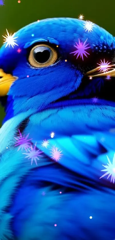 Closeup of a vibrant blue tropical bird perched on a branch.