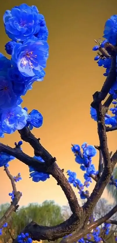 Vibrant blue blossoms against warm background.