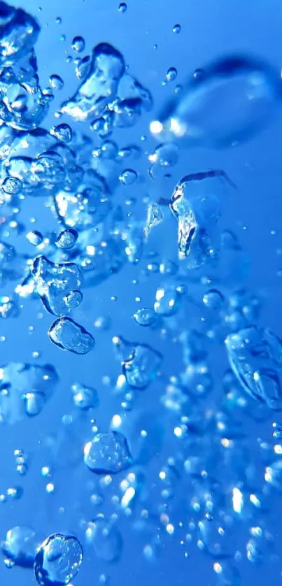 Vibrant blue wallpaper with floating bubbles.