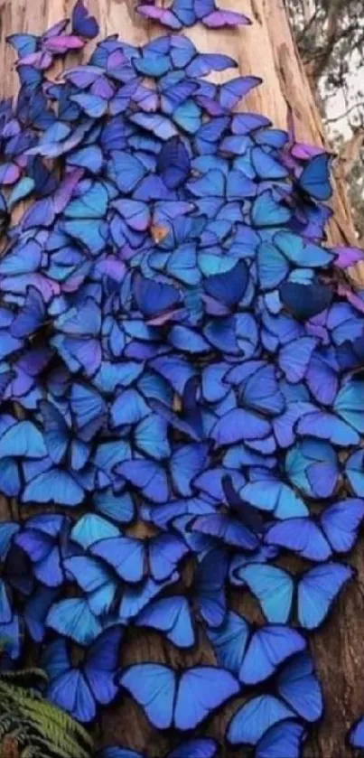 Vibrant blue butterflies on tree bark wallpaper.