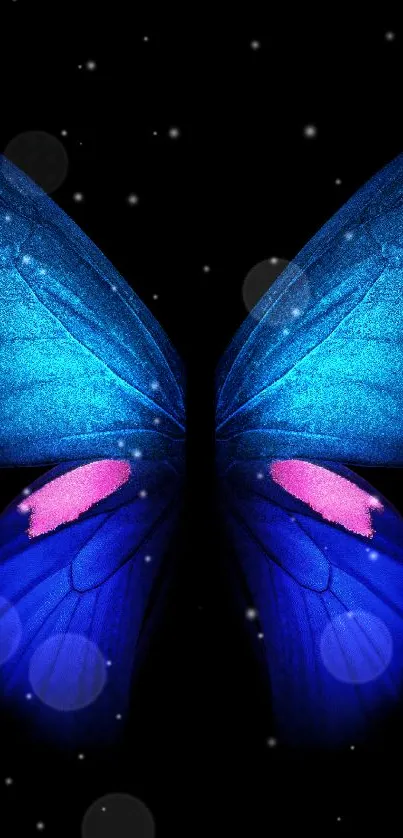 Vibrant blue butterfly on black background wallpaper.