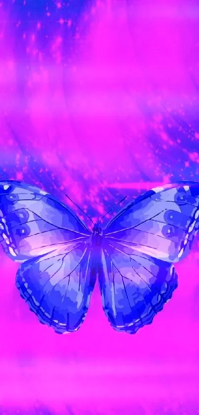 Vibrant blue butterfly on a bright purple background.