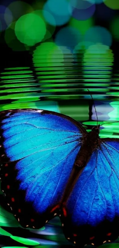 Blue butterfly on shimmering green backdrop wallpaper.