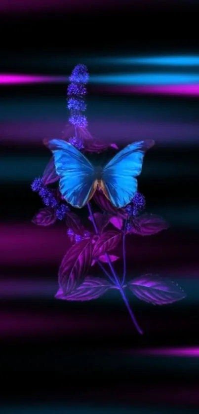 Blue butterfly on purple foliage with neon background.