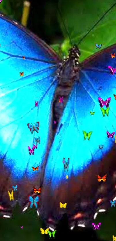 Vibrant blue butterfly with open wings on green leaves.