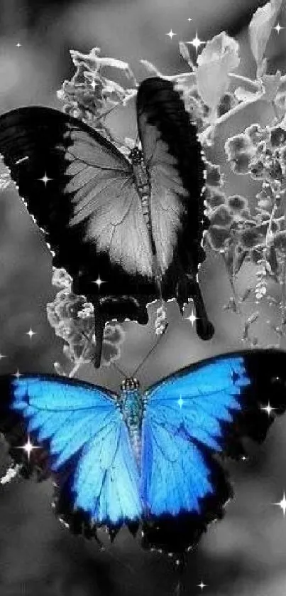 Blue butterfly on monochrome background wallpaper.