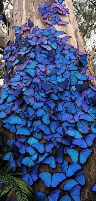 Tree covered in vibrant blue butterflies in a lush forest setting.