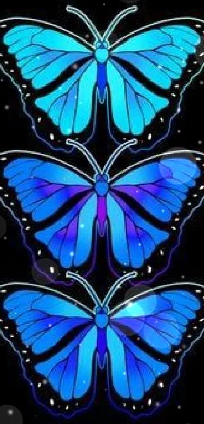 Three vibrant blue butterflies on a black background wallpaper.