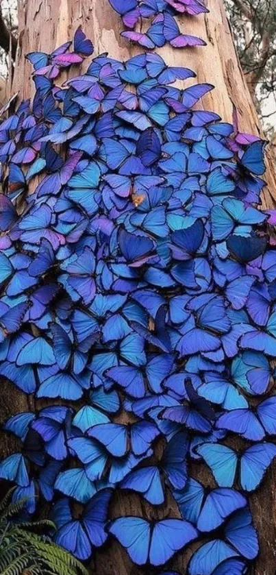 Blue butterflies clustered on a tree trunk, creating a vibrant natural wallpaper.