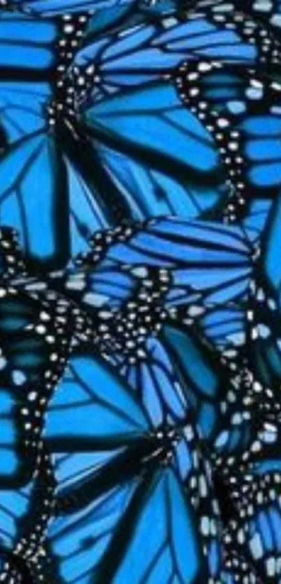 Vibrant blue butterfly wallpaper design.