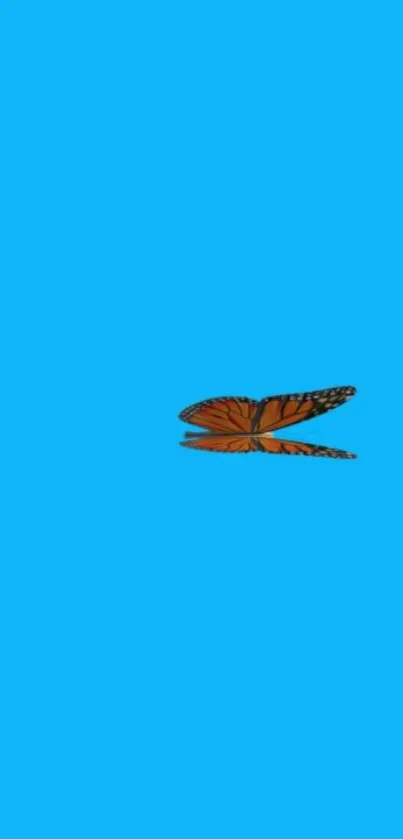 Sky blue wallpaper with a butterfly in flight.