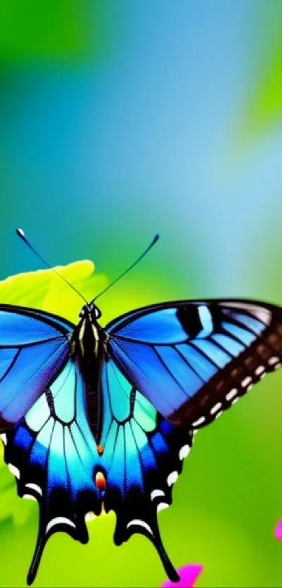 A vibrant blue butterfly on a green background with pink flowers.