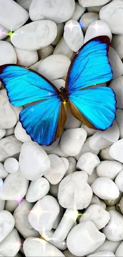 Bright blue butterfly on white stones wallpaper.