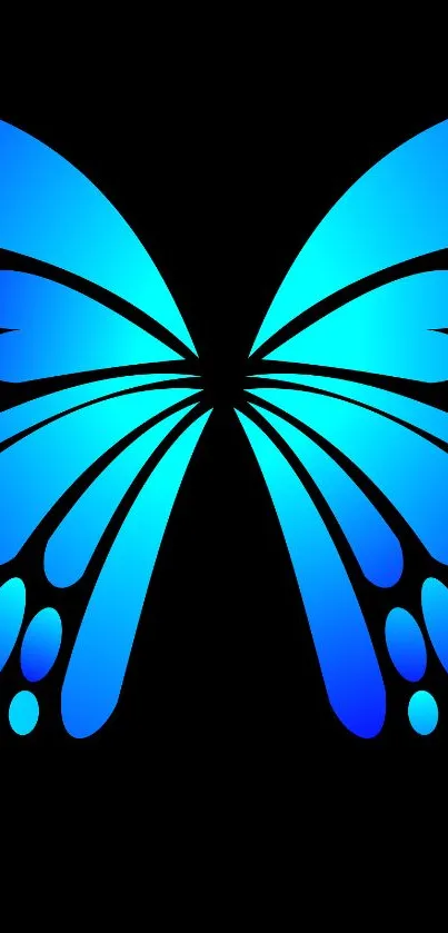 Vibrant blue butterfly on black background wallpaper.