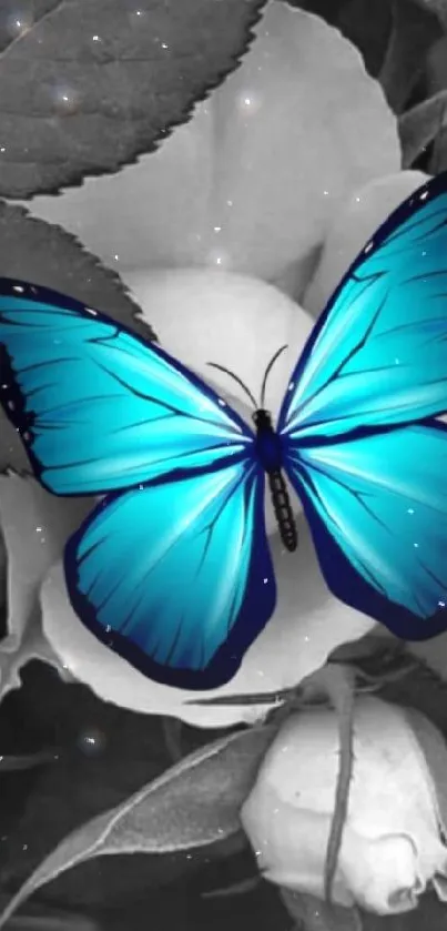 Blue butterfly on monochrome flower wallpaper.