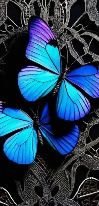 Blue butterflies on a lace background, vibrant design.