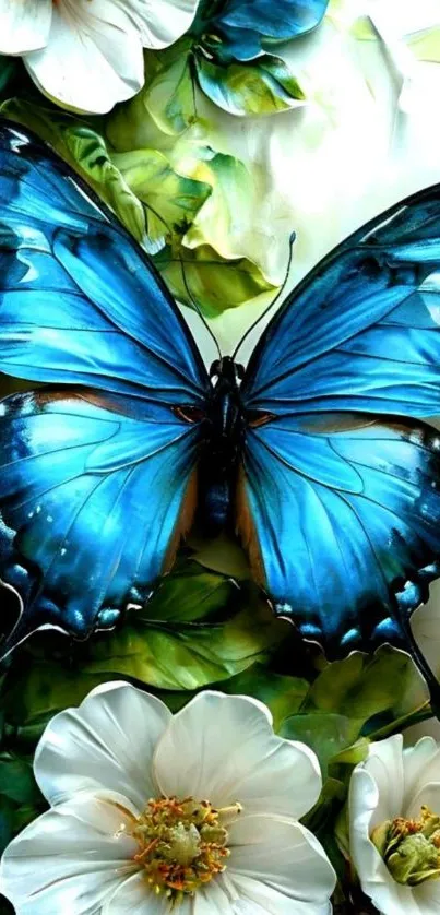 Blue butterfly with white flowers wallpaper.