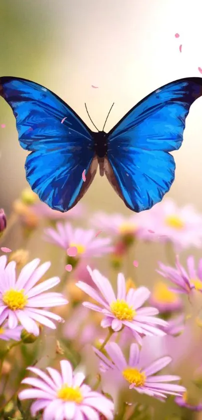 Blue butterfly hovering over pink flowers, creating a vibrant nature scene.