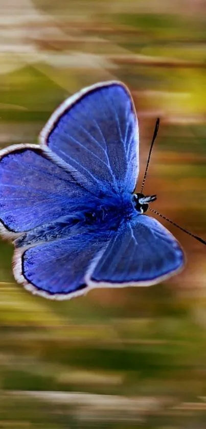 Stunning blue butterfly in mid-flight against a blurred background.