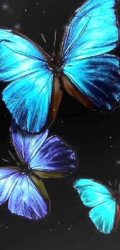 Blue butterflies on a black background, vibrant and elegant design.