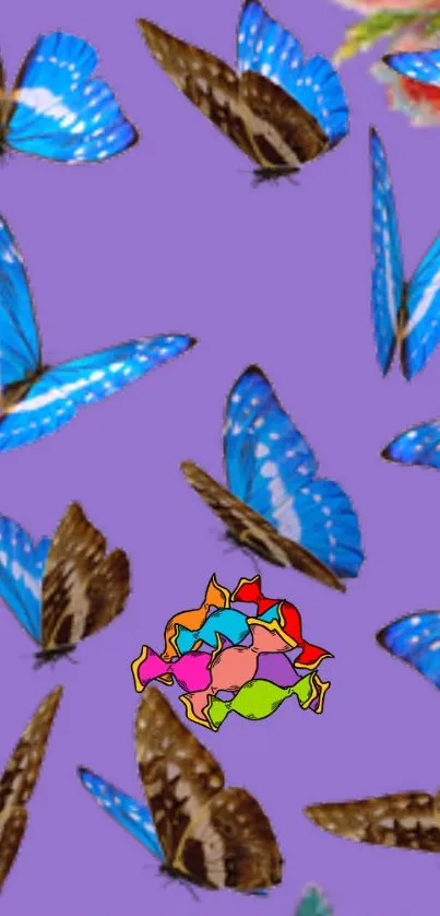 Blue butterflies on a purple background wallpaper.