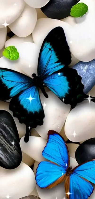 Blue butterflies on smooth stones wallpaper with vibrant colors.