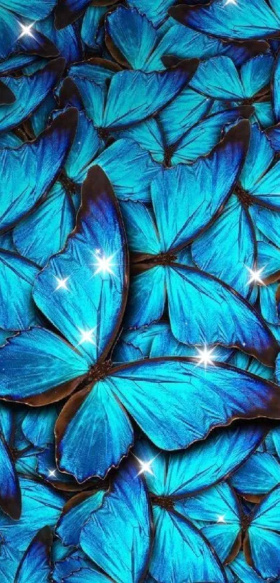 Colorful blue butterfly wallpaper with detailed patterns.