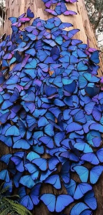 Blue butterflies covering a tree trunk in a vibrant display of nature's beauty.