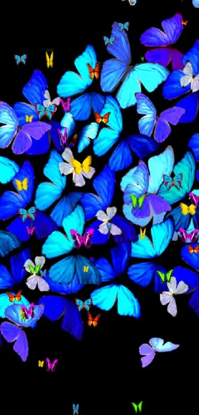 Vibrant blue butterflies flutter on a black background, creating a stunning mobile wallpaper.