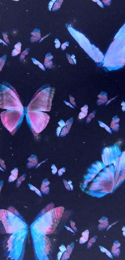 Vibrant blue and pink butterflies on a dark background.