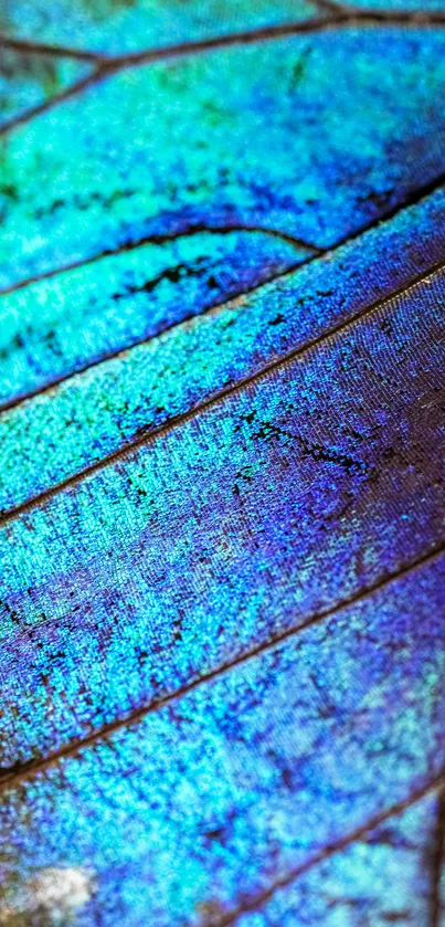 Vibrant close-up of a blue butterfly wing texture.