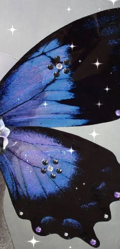 Elegant blue butterfly wings with decorative embellishments.