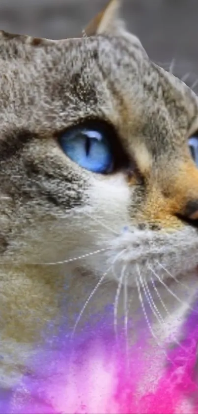 Blue-eyed cat with pink and purple vibrant colors.