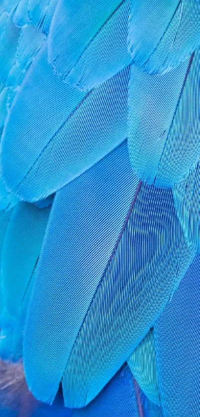 Close-up of vibrant blue feathers in a seamless texture for mobile wallpaper.