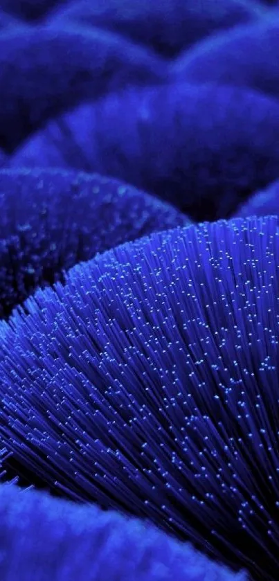 Vibrant blue fiber optic wallpaper for mobile devices.