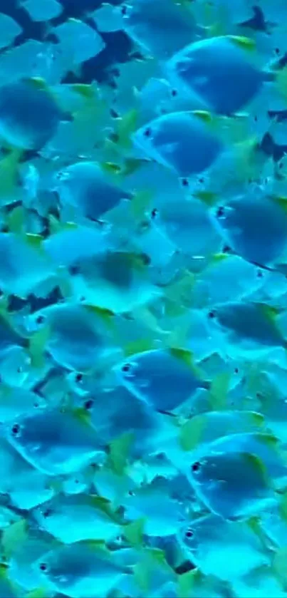 Vibrant blue fish swarm in an underwater ocean scene.