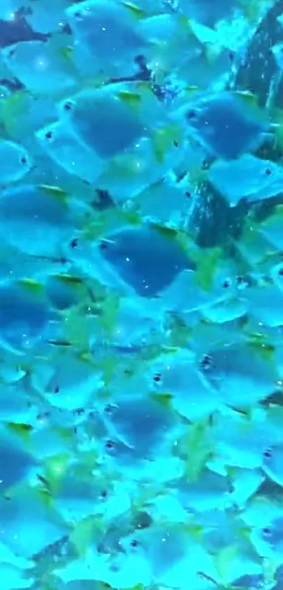 Vibrant blue fish swimming in an underwater scene on a mobile wallpaper.