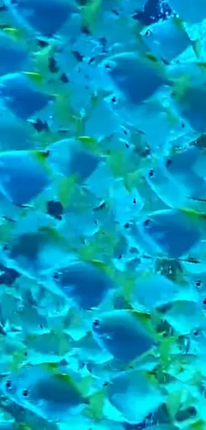 Vibrant blue fish swimming in a serene underwater scene.