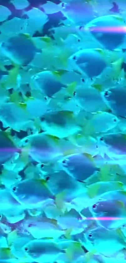 Colorful school of blue fish on a mobile wallpaper.