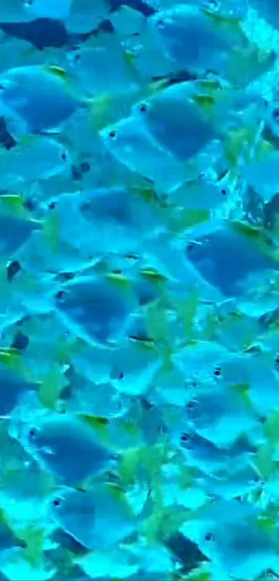 Vibrant blue fish swimming in a lively underwater scene.