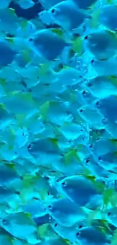 A vibrant underwater view of blue fish swimming in the ocean, ideal for mobile wallpaper.