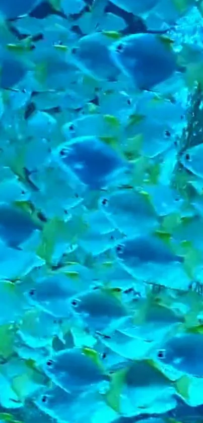 Vibrant blue fish swimming in a serene underwater scene.